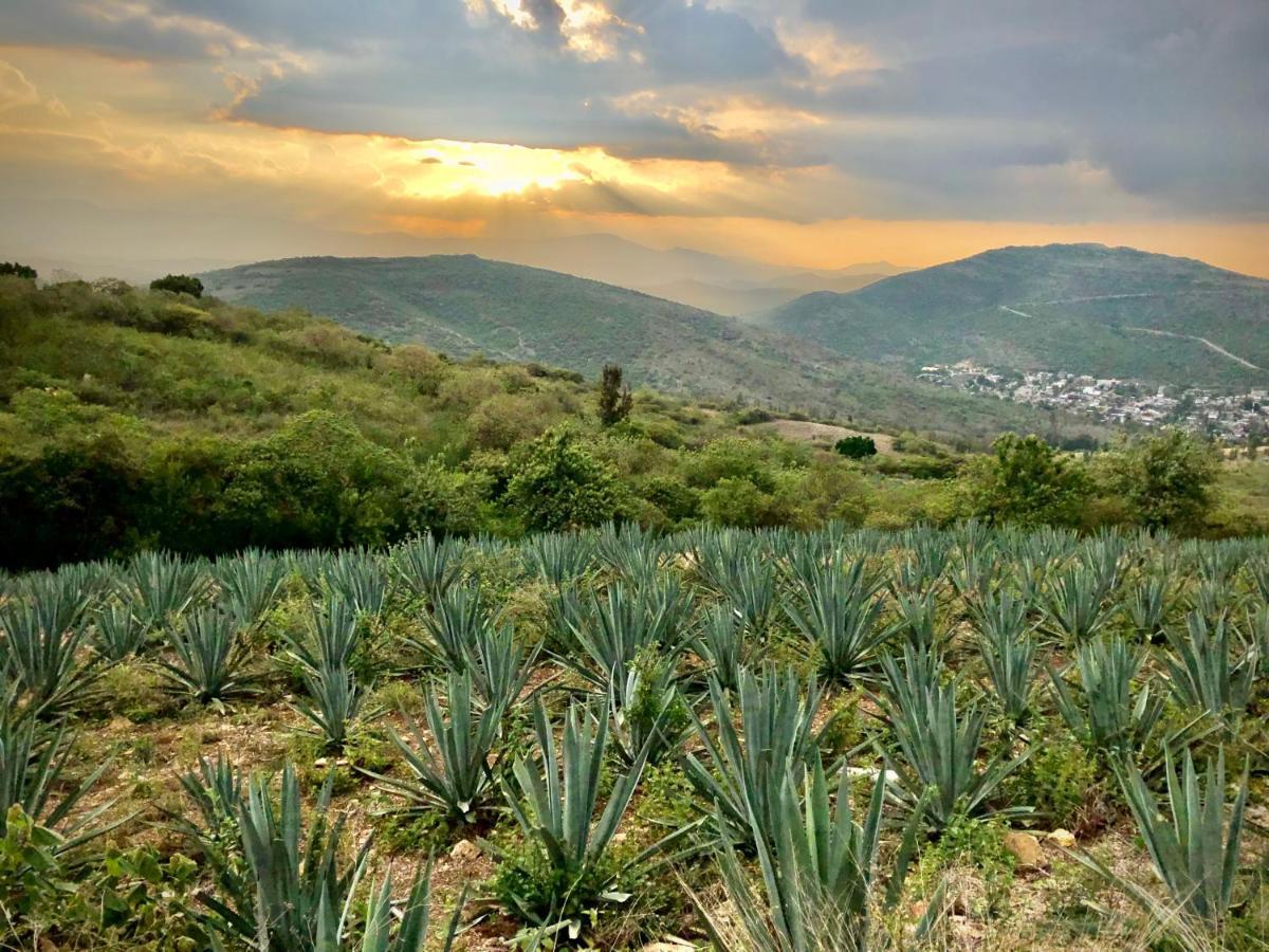 Beautiful Apartment In Oaxaca City'S Best Location Экстерьер фото